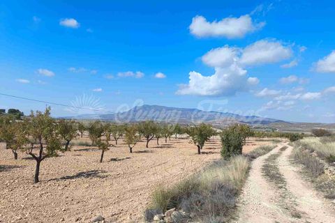 Helårsgrund i Jumilla, Murcia, Jumilla - € 29.900 | Ref: SF0544 - foto 15